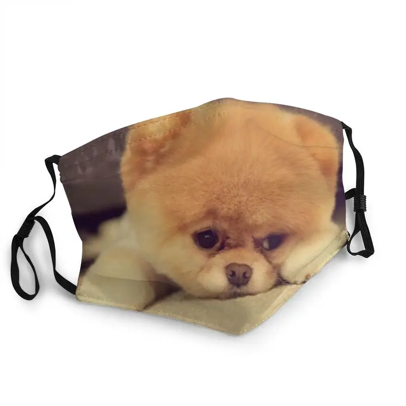 Cute Pomeranian Puppy Mask Anti Haze Dustproof Non-Disposable Spitz Dog Face Mask Protection Cover Adult Respirator Mouth-Muffle
Cute Pomeranian Puppy Mask Anti Haze Dustproof Non-Disposable Spitz Dog Face Mask Protection Cover Adult Respirator Mouth-Muffle