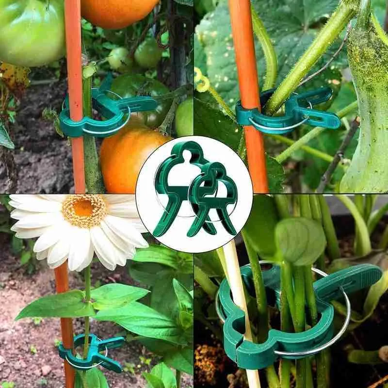 20Pcs Fastener Greenhouse Bracket Pole Fixed Clamp Connector Grafting Stakes Plants Garden Clips Fruit Support Reuseable Tr A8N5
20Pcs Fastener Greenhouse Bracket Pole Fixed Clamp Connector Grafting Stakes Plants Garden Clips Fruit Support Reuseable Tr A8N5