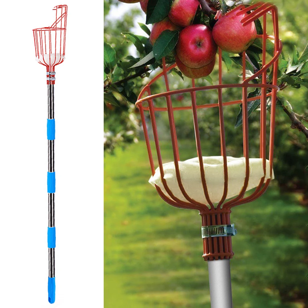 Mango Peach With Basket Garden Tool Picking Labor-saving Splicable Pole Detachable Orchard Fruit Picker Reusable Adjustable
Mango Peach With Basket Garden Tool Picking Labor-saving Splicable Pole Detachable Orchard Fruit Picker Reusable Adjustable