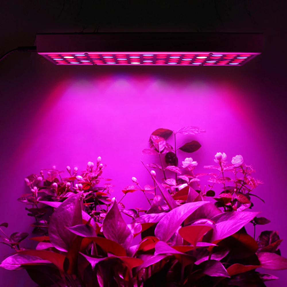 Led Full Spectrum 25W 45W LED Phyto Lamp Grow Lights 75 144 LEDs 85-265V 380-780nm LED Diode Fitolampy UV IR Flower Plant Light
Led Full Spectrum 25W 45W LED Phyto Lamp Grow Lights 75 144 LEDs 85-265V 380-780nm LED Diode Fitolampy UV IR Flower Plant Light