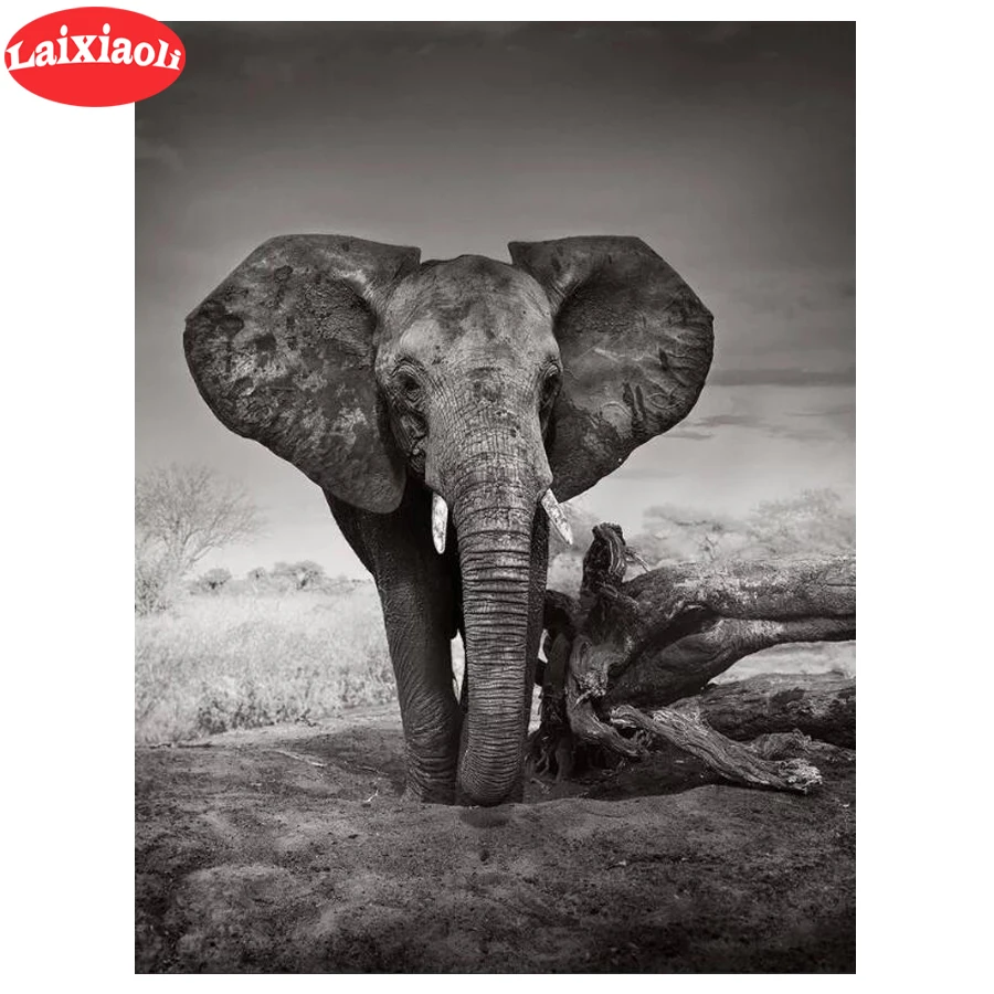 Алмазная картина, слон, алмазная вышивка, животное, алмазная вышивка, Современный домашний декор, полная смола, картины, Декор, живопись
Алмазная картина, слон, алмазная вышивка, животное, алмазная вышивка, Современный домашний декор, полная смола, картины, Декор, живопись