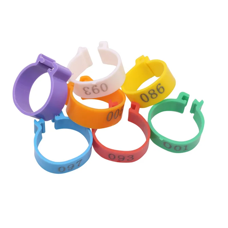 Anklet Inside Diameter 20mm Chicken Foot Ring 1-100 Number Plat Plastic Material Rounded Chicken Ring Foot 100 Pcs/lot
Anklet Inside Diameter 20mm Chicken Foot Ring 1-100 Number Plat Plastic Material Rounded Chicken Ring Foot 100 Pcs/lot