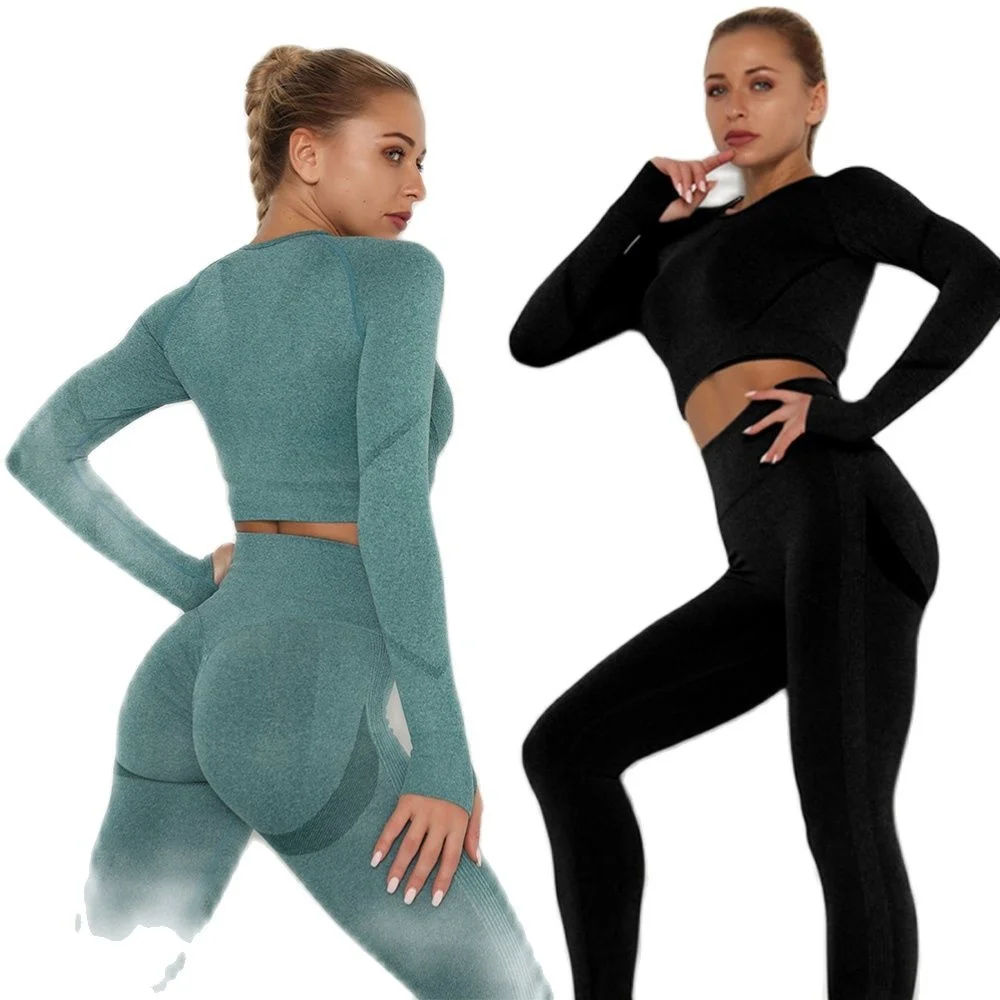 Seamless Women Gym Set Long Sleeve Top Belly Control High Waist Sport Leggings Clothes Girls Tracksuit Suit Sportwear
Seamless Women Gym Set Long Sleeve Top Belly Control High Waist Sport Leggings Clothes Girls Tracksuit Suit Sportwear