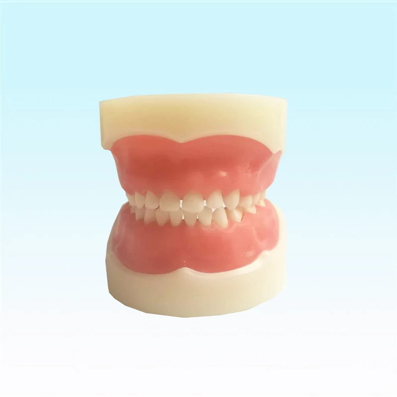 Стоматология и уход за полостью рта для детей модели зубных зубов челюстей