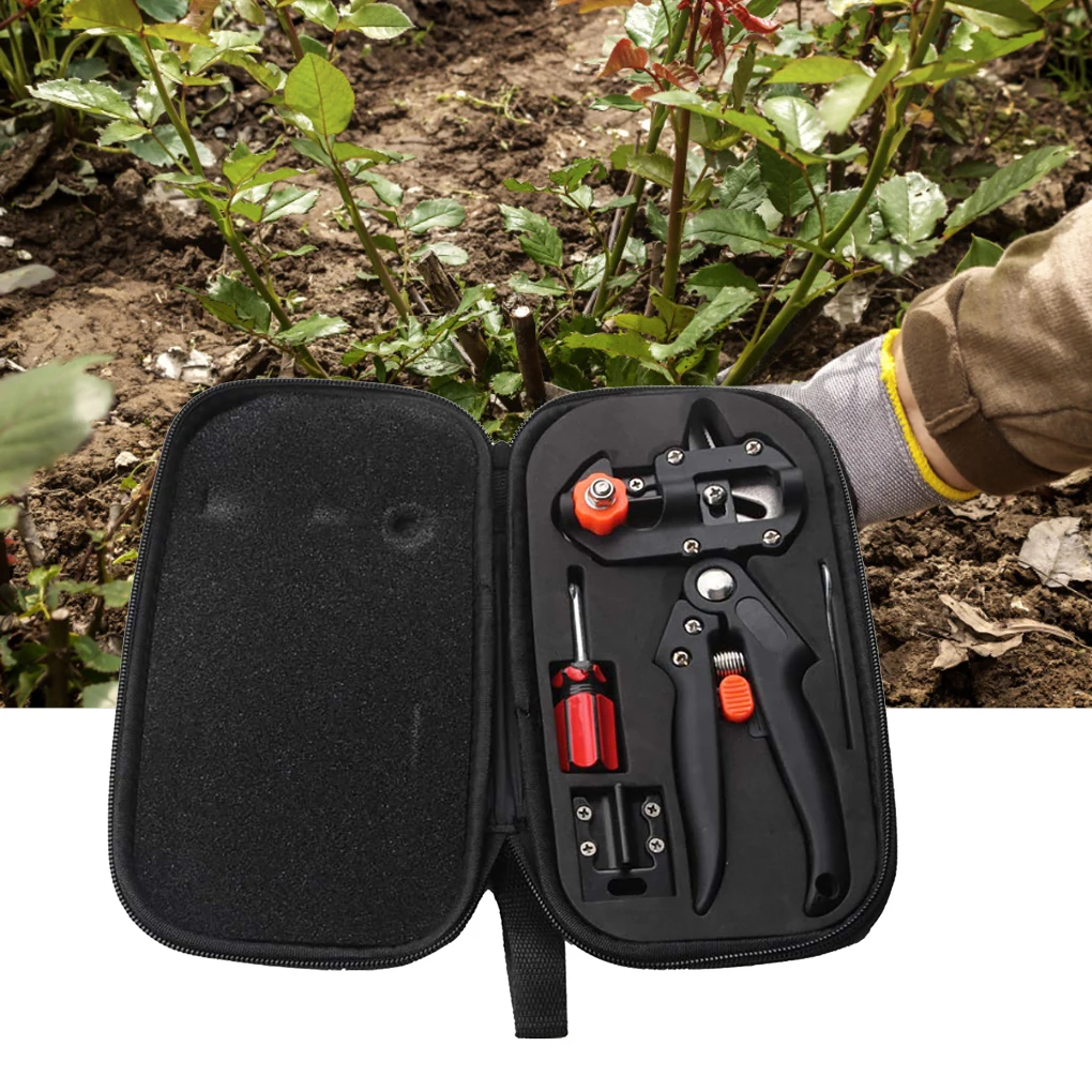 Plant Nursery Garden Branch Cutter Scissor Pruning Shear Fruit Tree Garden Farming Nursing Branch Shear Screwdriver Wrench Set
Plant Nursery Garden Branch Cutter Scissor Pruning Shear Fruit Tree Garden Farming Nursing Branch Shear Screwdriver Wrench Set
