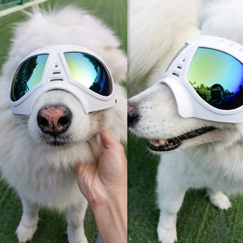 Pet Dog Glasses Medium Large Dog Waterproof Pet Glasses Dog Protection Goggles Pet UV Sunglasses Resistant To UV Eyewear
Pet Dog Glasses Medium Large Dog Waterproof Pet Glasses Dog Protection Goggles Pet UV Sunglasses Resistant To UV Eyewear
