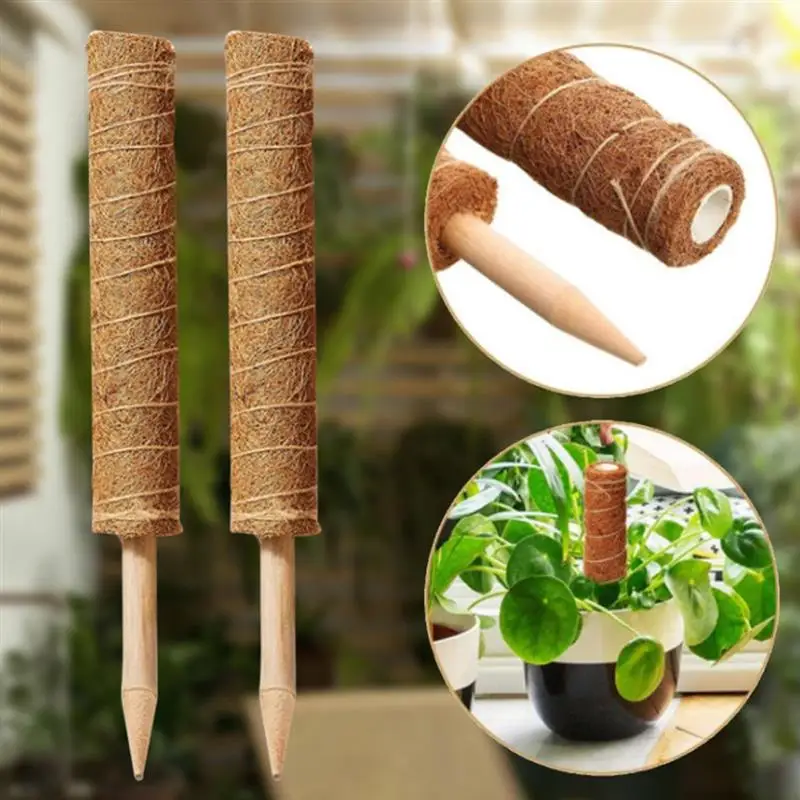 Plant Support Moss Pole For Climbing Plants And Vines Freely Disassembled Totem Moss Sticks Plant Support Totem Pole
Plant Support Moss Pole For Climbing Plants And Vines Freely Disassembled Totem Moss Sticks Plant Support Totem Pole