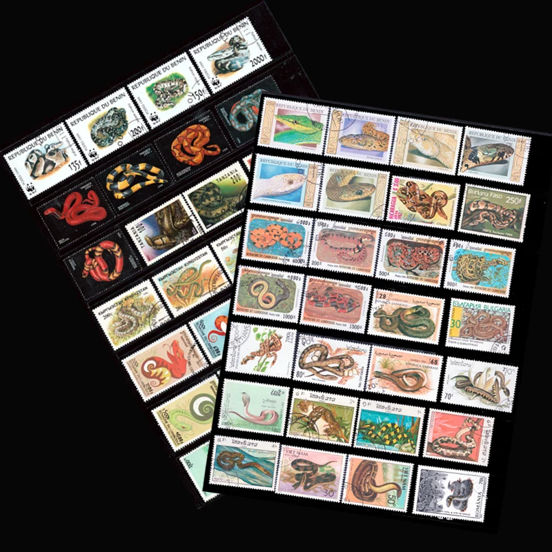 50 PCS Different Topic Snake Unused Postage Stamps With Post Mark For Collection
50 PCS Different Topic Snake Unused Postage Stamps With Post Mark For Collection