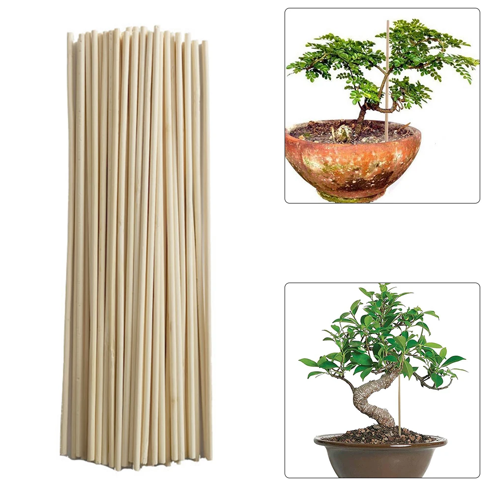 50PCS Plant Support Sticks Bamboo Potted Plant Grow Support Rod Reusable Garden Tools Flower Canes Rod Tools For Bonsai
50PCS Plant Support Sticks Bamboo Potted Plant Grow Support Rod Reusable Garden Tools Flower Canes Rod Tools For Bonsai