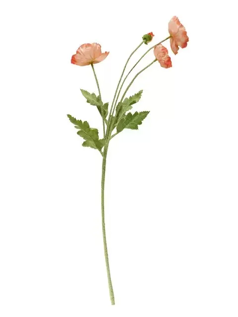 Indoor Fake Bloom Does Not Wither Home Simulation Artificial Flower Wedding Decoration Blossom Gououbu Desktop Placement
Indoor Fake Bloom Does Not Wither Home Simulation Artificial Flower Wedding Decoration Blossom Gououbu Desktop Placement
