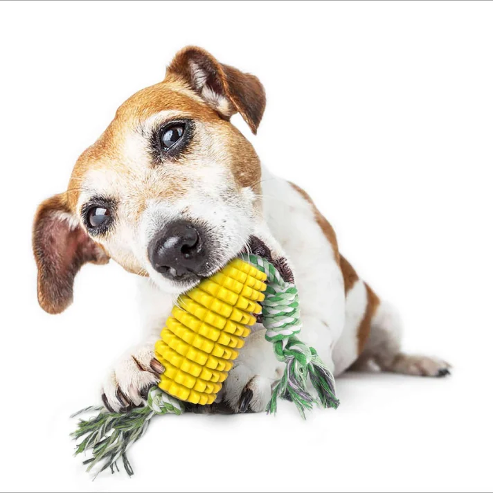 Dog Chew Toys, Pet Teeth Cleaning Stick Dog Dental Oral Care Toy, Corn Molar Stick with Rope
Dog Chew Toys, Pet Teeth Cleaning Stick Dog Dental Oral Care Toy, Corn Molar Stick with Rope