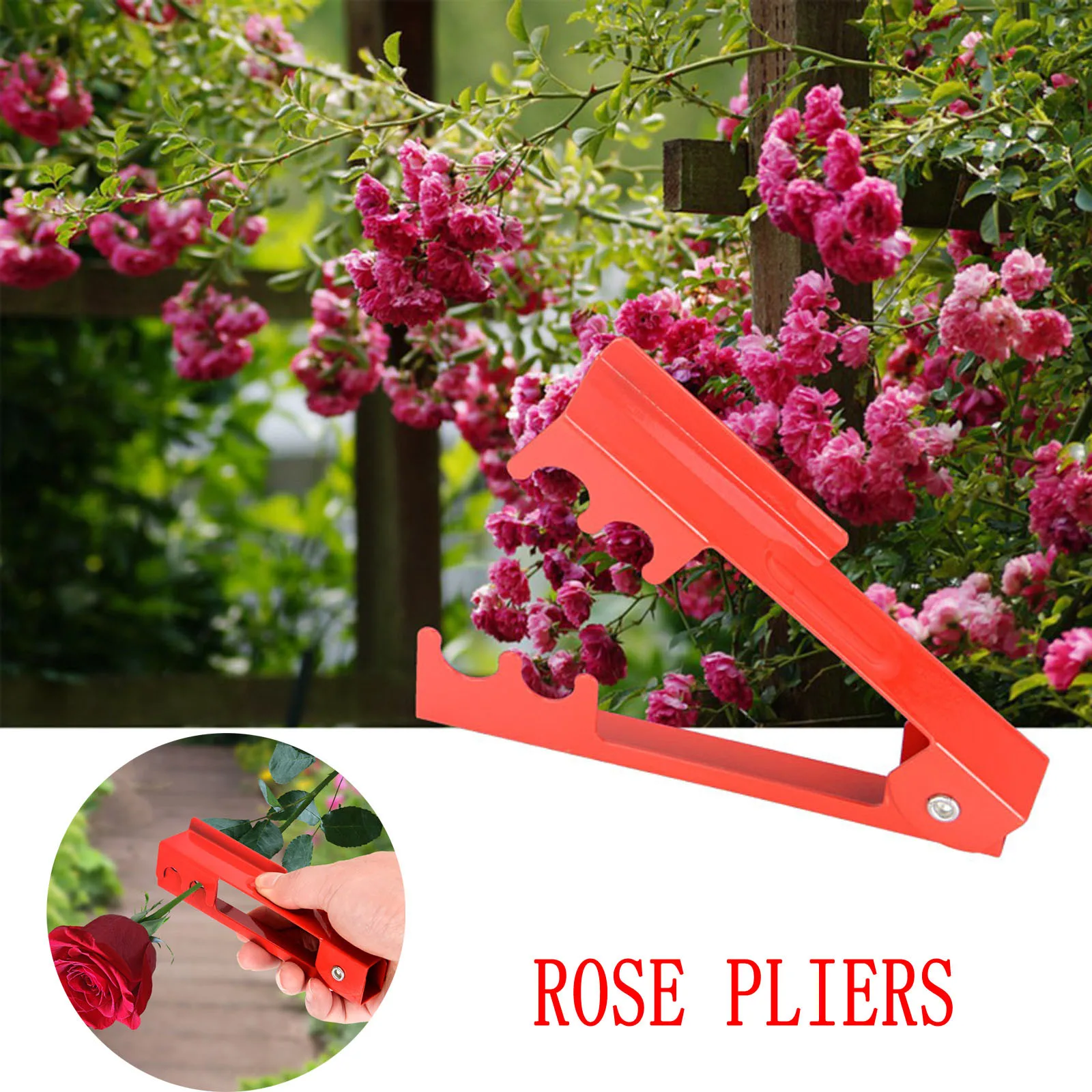 Garden Planting Transplanting Deburring Forceps Plant Grafting Rose Pliers Fast Shipping And Deliver Dropshipping Deburring 2021
Garden Planting Transplanting Deburring Forceps Plant Grafting Rose Pliers Fast Shipping And Deliver Dropshipping Deburring 2021