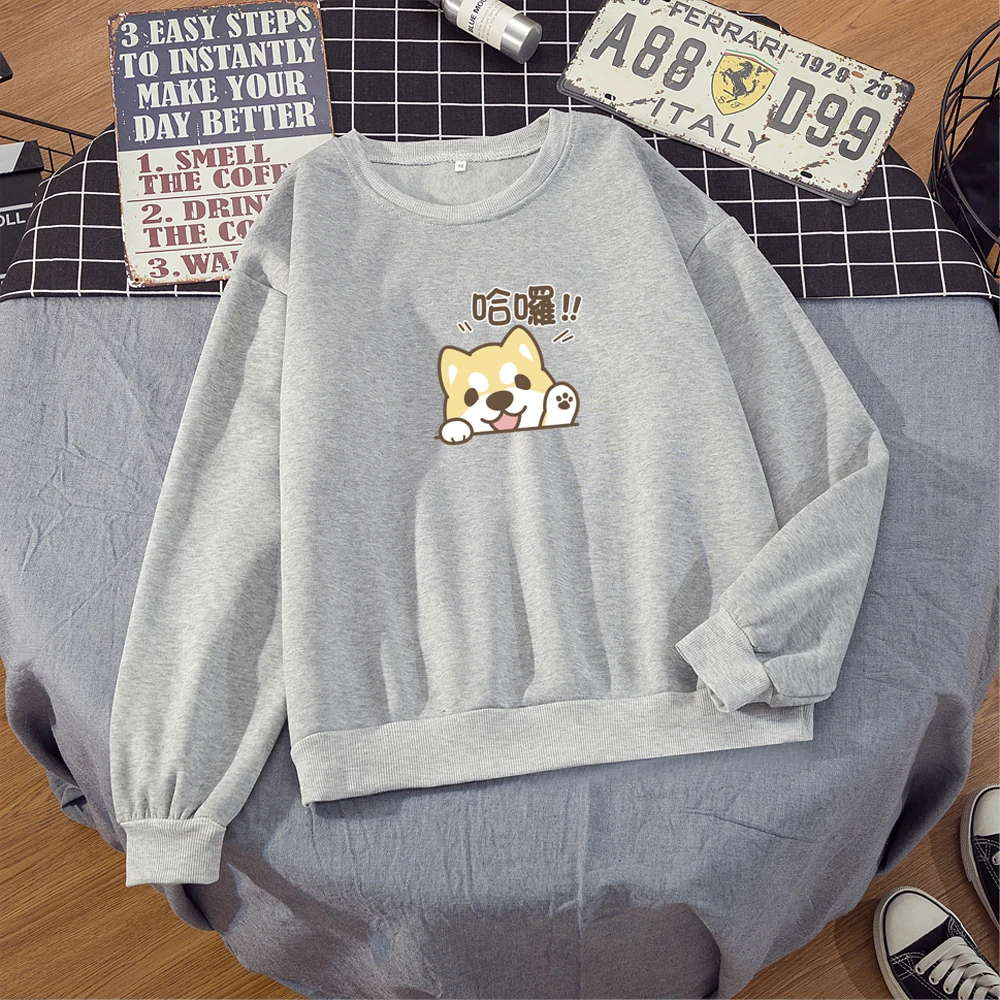Hoodies Women Velvet Chic Loose Oversize Streetwear Trendy Korean Harajuku Sweatshirts Simple Ulzzang Lady Long Sleeve Pullover
Hoodies Women Velvet Chic Loose Oversize Streetwear Trendy Korean Harajuku Sweatshirts Simple Ulzzang Lady Long Sleeve Pullover