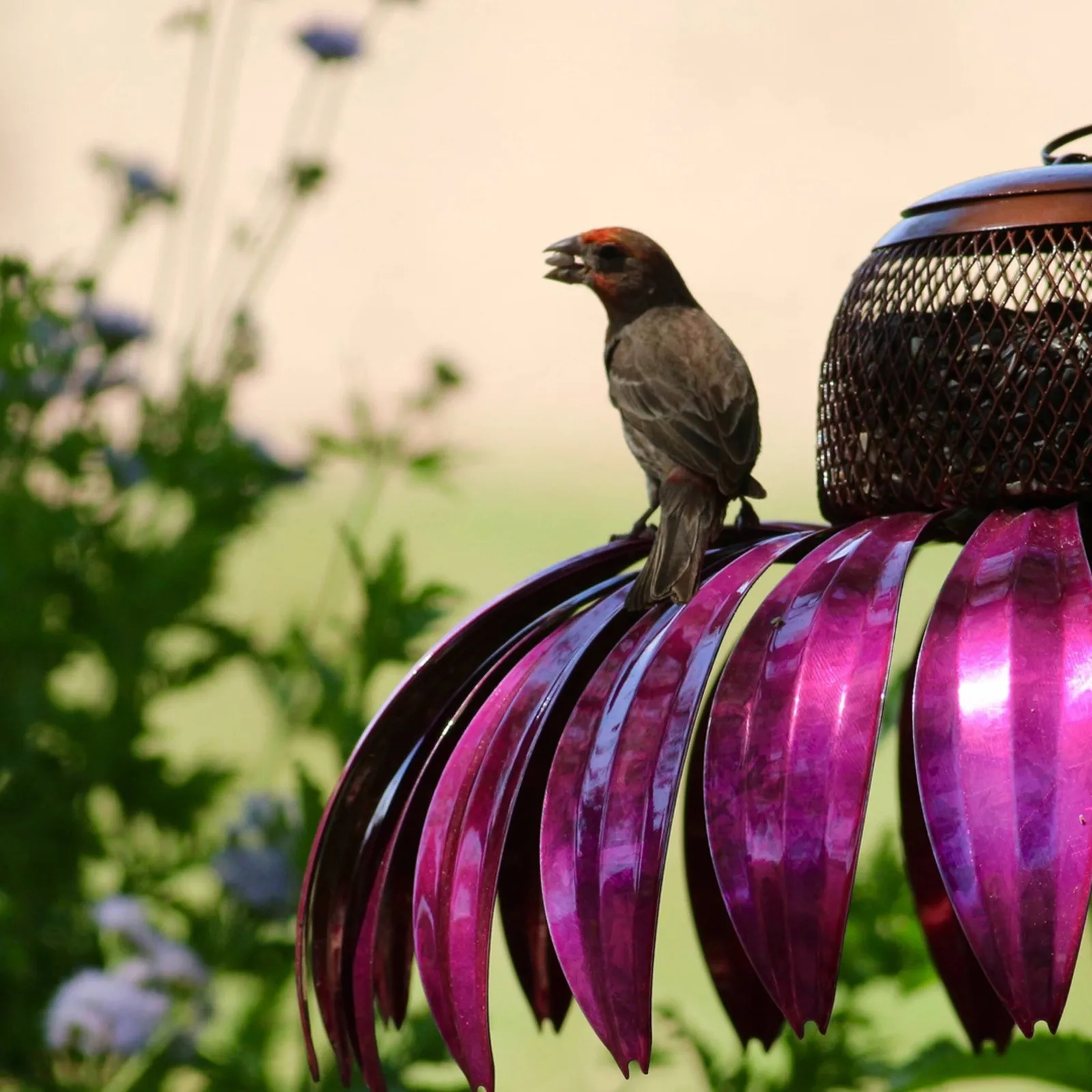 Garden Metal Bird Feeder Pink Flowers Bird Feeder With Metal Stand Garden Artificial Flower Decor Stakes Karmnik Dla Ptakw#W
Garden Metal Bird Feeder Pink Flowers Bird Feeder With Metal Stand Garden Artificial Flower Decor Stakes Karmnik Dla Ptakw#W