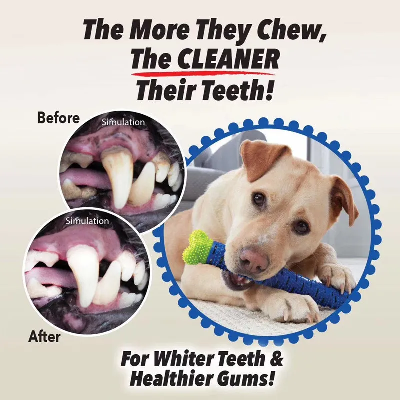 High Quality Pet Toothbrush Stick Pet Products Dog Automatic Tooth Brushing Tools Interactive Puppy Chew Toys Pug Kong Dog Toys
High Quality Pet Toothbrush Stick Pet Products Dog Automatic Tooth Brushing Tools Interactive Puppy Chew Toys Pug Kong Dog Toys