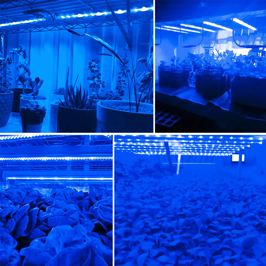 5V LED Full Spectrum USB Lamp Grow Light Waterproof LED Plant Flowers For Greenhouse Cultivo Hydroponic Grow Tent 0.5m/1m/2m/3m
5V LED Full Spectrum USB Lamp Grow Light Waterproof LED Plant Flowers For Greenhouse Cultivo Hydroponic Grow Tent 0.5m/1m/2m/3m