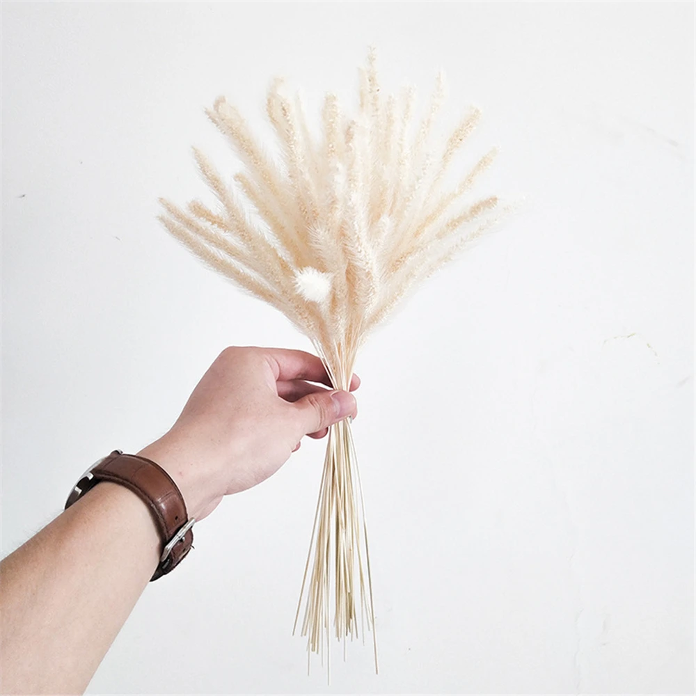 50Pcs/Lot Artificial Flower Dog's Tail Grass Natural Dried Bouquet Gradients Home Wedding Birthday Real FlowersDecorations
50Pcs/Lot Artificial Flower Dog's Tail Grass Natural Dried Bouquet Gradients Home Wedding Birthday Real FlowersDecorations