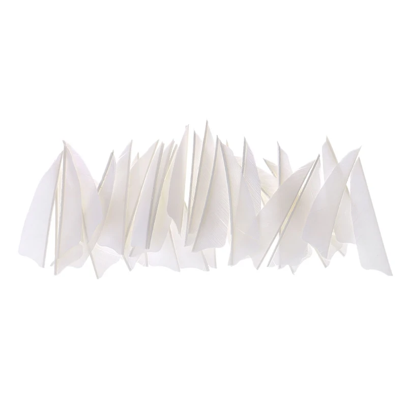 12PCS Archery Pure Carbon Arrow Shaft ID 4.2MM Spine 400 500 600 700 800 900 1000 for Recurve Bow Hunting Shooting Accessories
12PCS Archery Pure Carbon Arrow Shaft ID 4.2MM Spine 400 500 600 700 800 900 1000 for Recurve Bow Hunting Shooting Accessories