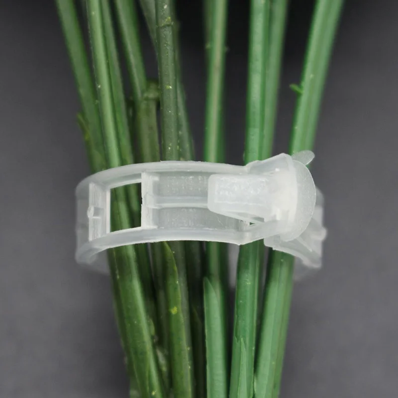 50pcs/100pcs Durable 30mm Plastic Plant Support Clips For Types Plants Hanging Vine Garden Greenhouse Vegetables Garden Ornament
50pcs/100pcs Durable 30mm Plastic Plant Support Clips For Types Plants Hanging Vine Garden Greenhouse Vegetables Garden Ornament