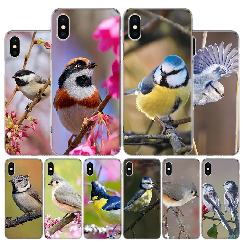 Magpie bird Cover Phone Case For Apple iPhone 11 12 13 Pro XR X XS Max 7 8 6 6S Plus + Mini 5S SE Print Shell Coque Fundas
Magpie bird Cover Phone Case For Apple iPhone 11 12 13 Pro XR X XS Max 7 8 6 6S Plus + Mini 5S SE Print Shell Coque Fundas