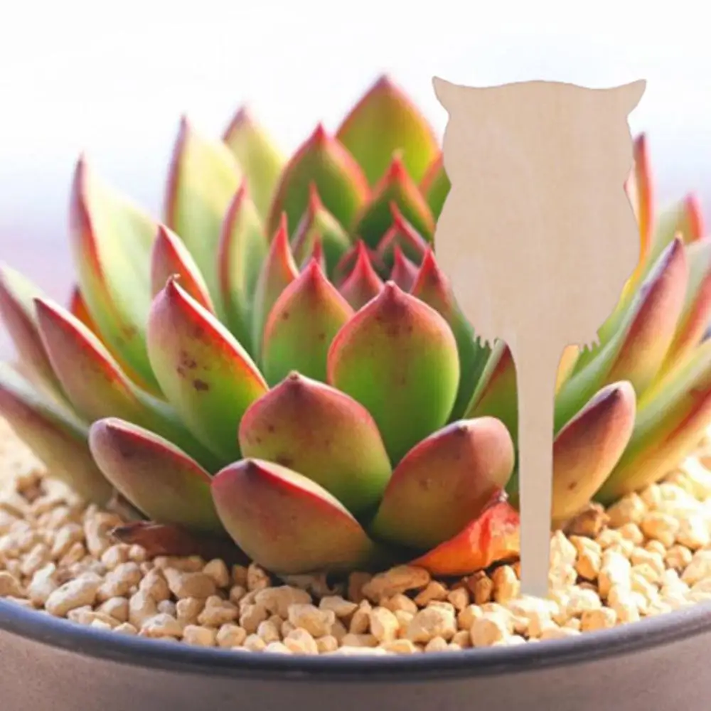 60PCS Gardening Label Plant Label Wooden Love Heart, Deer, Butterfly Various Shapes Inserted Into the Ground Flower Label Insert
60PCS Gardening Label Plant Label Wooden Love Heart, Deer, Butterfly Various Shapes Inserted Into the Ground Flower Label Insert