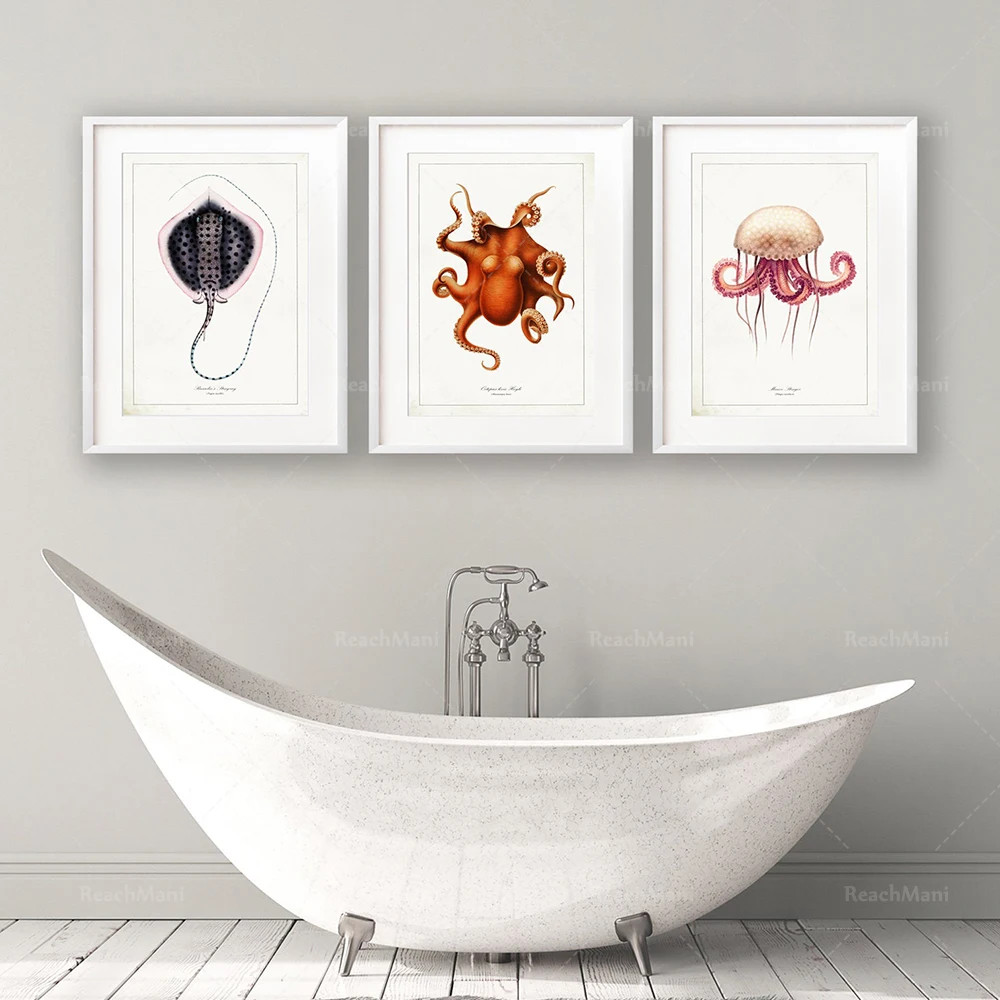 3 ensembles de gravures de la vie marine vintage, ensemble d'art mural de salle de bain, art mural de la vie marine, conception
3 ensembles de gravures de la vie marine vintage, ensemble d'art mural de salle de bain, art mural de la vie marine, conception