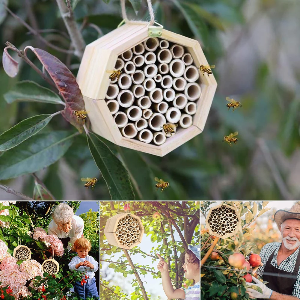 Mason Bee House - Handmade Natural Bamboo Bee Hive - Attracts Peaceful Bee Pollinators to Enhance Your Garden's Productivity
Mason Bee House - Handmade Natural Bamboo Bee Hive - Attracts Peaceful Bee Pollinators to Enhance Your Garden's Productivity