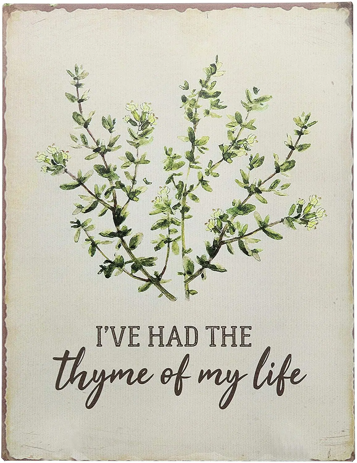 Забавный Ретро винтажный жестяной знак Barnyard с изображением тимьяна моей жизни, плакат для бара, надпись, деревенский Декор для дома 8x12 дюймов
Забавный Ретро винтажный жестяной знак Barnyard с изображением тимьяна моей жизни, плакат для бара, надпись, деревенский Декор для дома 8x12 дюймов