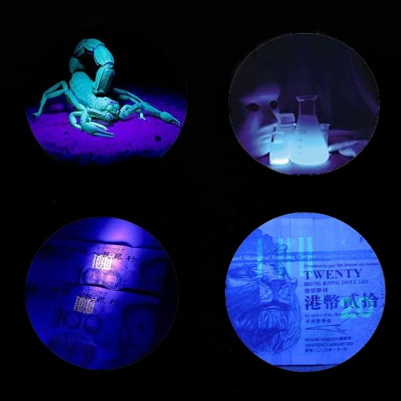 2021 Multi-function Aluminum Alloy Portable 21 LED UV Ultra Violet Flashlight Waterproof Blacklight Invisible Handy Torch Hot 
2021 Multi-function Aluminum Alloy Portable 21 LED UV Ultra Violet Flashlight Waterproof Blacklight Invisible Handy Torch Hot