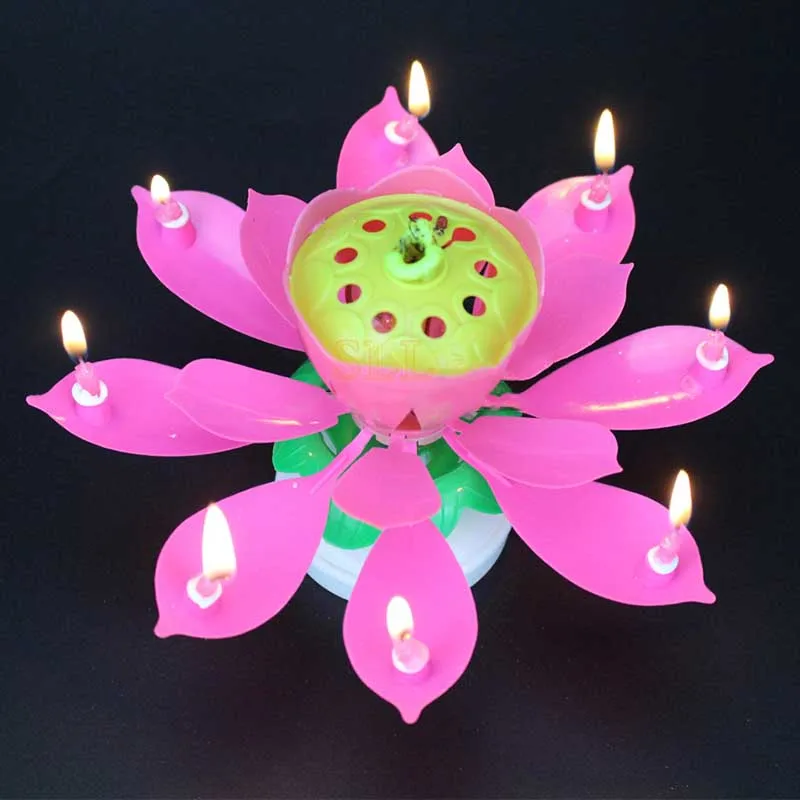 Birthday Cake Music Candle Wedding Party Double Flower BlossomS Birthday Cake Flat Rotating Electronic Festival Decor
Birthday Cake Music Candle Wedding Party Double Flower BlossomS Birthday Cake Flat Rotating Electronic Festival Decor