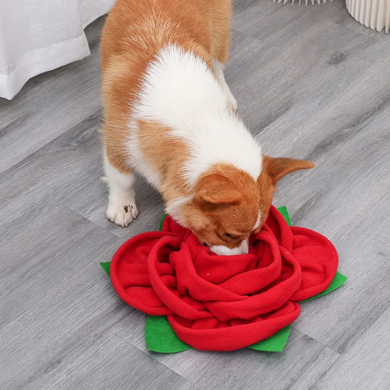 Pet Dog Slow Feeding Toy Dog Tortoise Mat Snuffle Toy Squeaky Interactive Dog Foraging Toy for Encourages Natural Foraging
Pet Dog Slow Feeding Toy Dog Tortoise Mat Snuffle Toy Squeaky Interactive Dog Foraging Toy for Encourages Natural Foraging