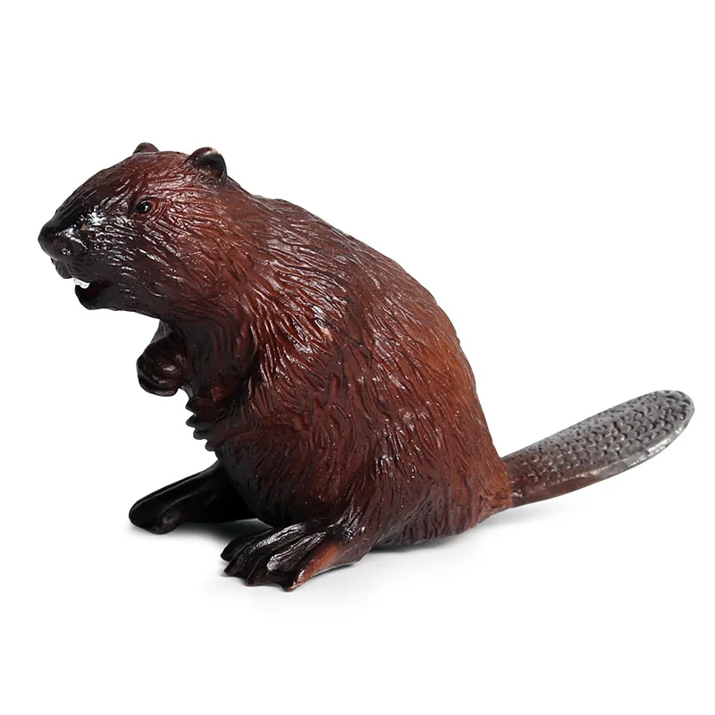 Beaver коллекционные пластиковые животные аксессуары для домашнего декора ремесла статуя
Beaver коллекционные пластиковые животные аксессуары для домашнего декора ремесла статуя