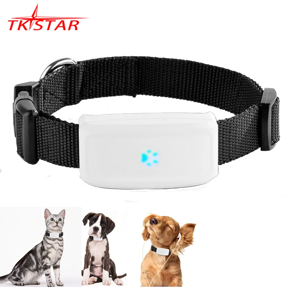 GPS-трекер для домашних животных TK911, 2G, GSM, GPS-локатор TKSTAR, мини GPS-трекер для домашних животных 2G GSM, лучший GPS-трекер для собак с бесплатным прил...
GPS-трекер для домашних животных TK911, 2G, GSM, GPS-локатор TKSTAR, мини GPS-трекер для домашних животных 2G GSM, лучший GPS-трекер для собак с бесплатным прил...