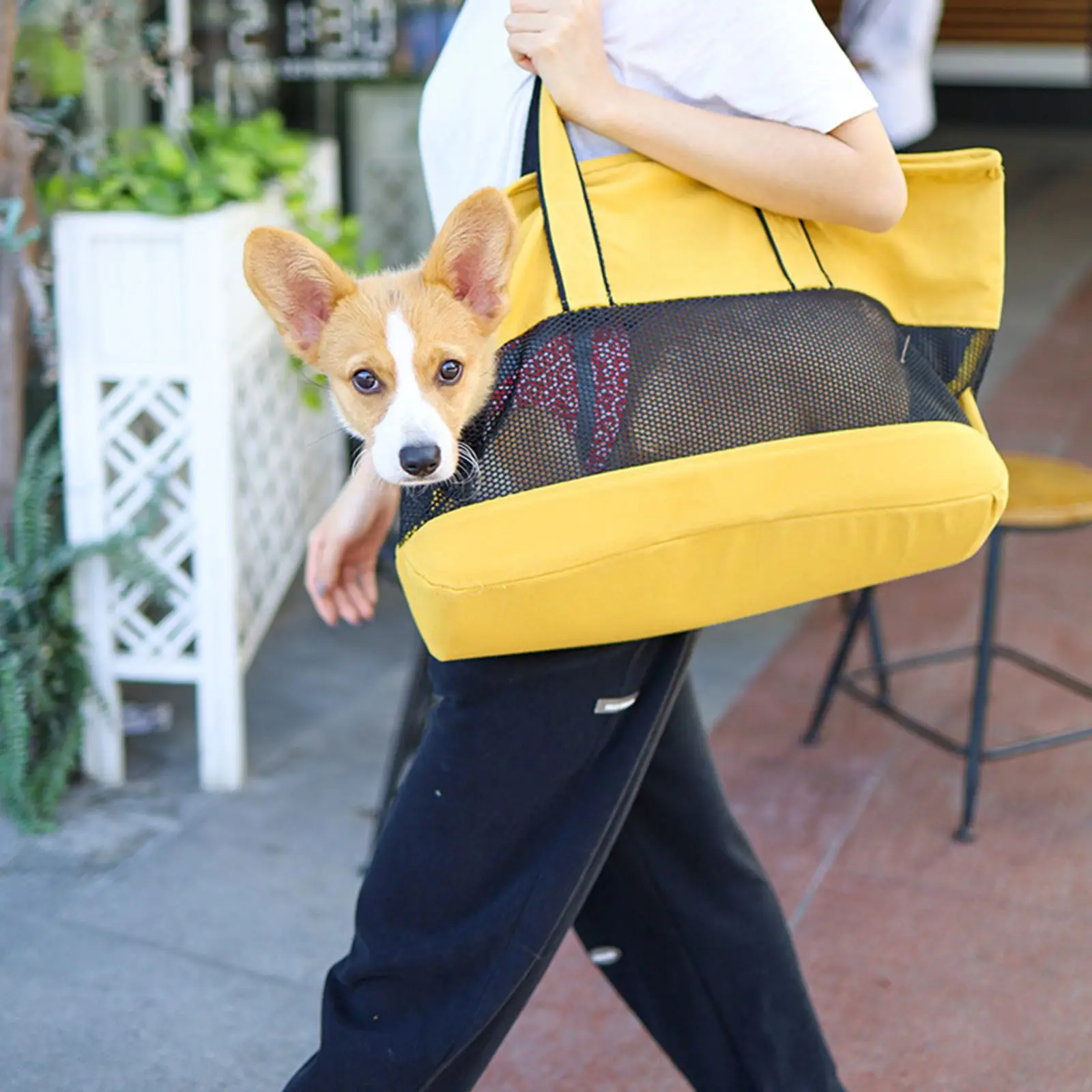 Portable Cat And Dog Breathable Canvas Bag Outdoor Mesh Bag With Large Openings For Outdoor Walking Traveling
Portable Cat And Dog Breathable Canvas Bag Outdoor Mesh Bag With Large Openings For Outdoor Walking Traveling