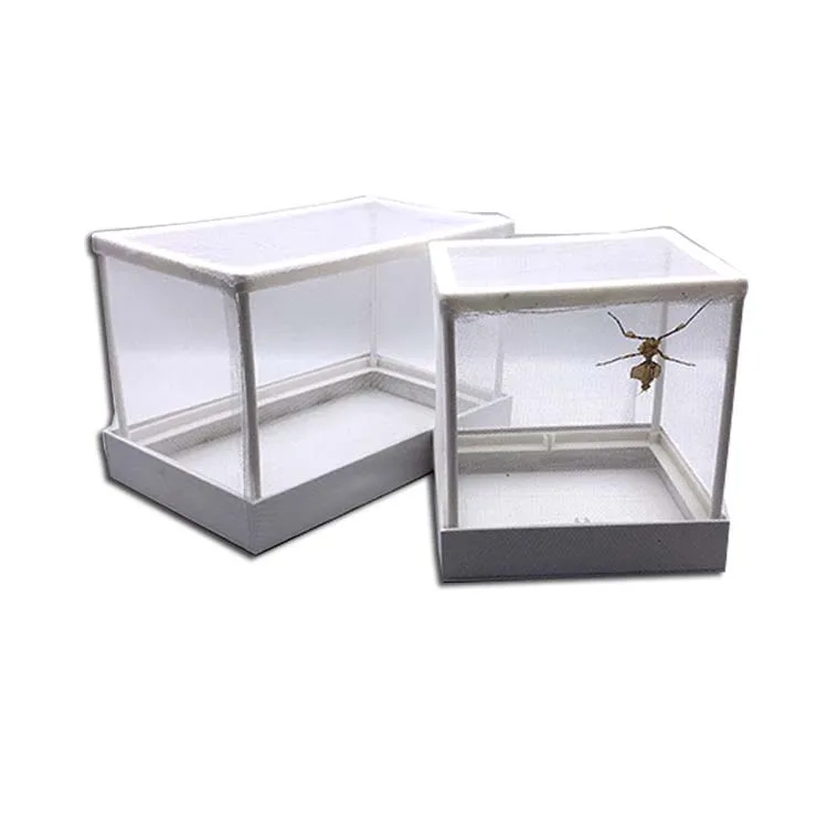 Sericulture Portable Insect Breeding Box Observation Spider Terrarium Reptil Accessories Insecten Potje Insect Supplies Ed50id
Sericulture Portable Insect Breeding Box Observation Spider Terrarium Reptil Accessories Insecten Potje Insect Supplies Ed50id