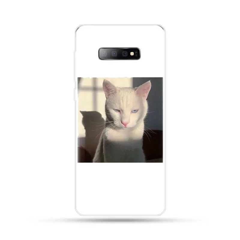 Cute Cats lovely Phone Case For Samsung Galaxy S5 S6 S7 S8 S9 S10 S10e S20 edge plus lite cover funda shell
Cute Cats lovely Phone Case For Samsung Galaxy S5 S6 S7 S8 S9 S10 S10e S20 edge plus lite cover funda shell
