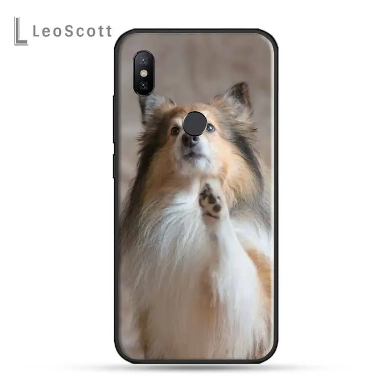 Funny Animal Sheltie dog Phone Case For Xiaomi Redmi note 7 8 9 t k30 max3 9 s 10 pro lite 
Funny Animal Sheltie dog Phone Case For Xiaomi Redmi note 7 8 9 t k30 max3 9 s 10 pro lite