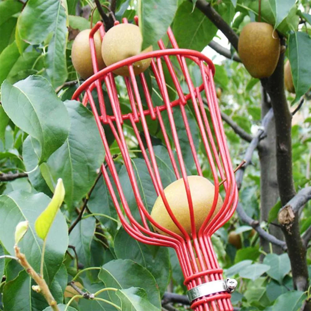 Outdoor Aluminum Deep Basket Garden Tools Fruit Picker Head Metal Fruit Picking Tools Fruits Catcher Harvest Picking Garden Tool
Outdoor Aluminum Deep Basket Garden Tools Fruit Picker Head Metal Fruit Picking Tools Fruits Catcher Harvest Picking Garden Tool