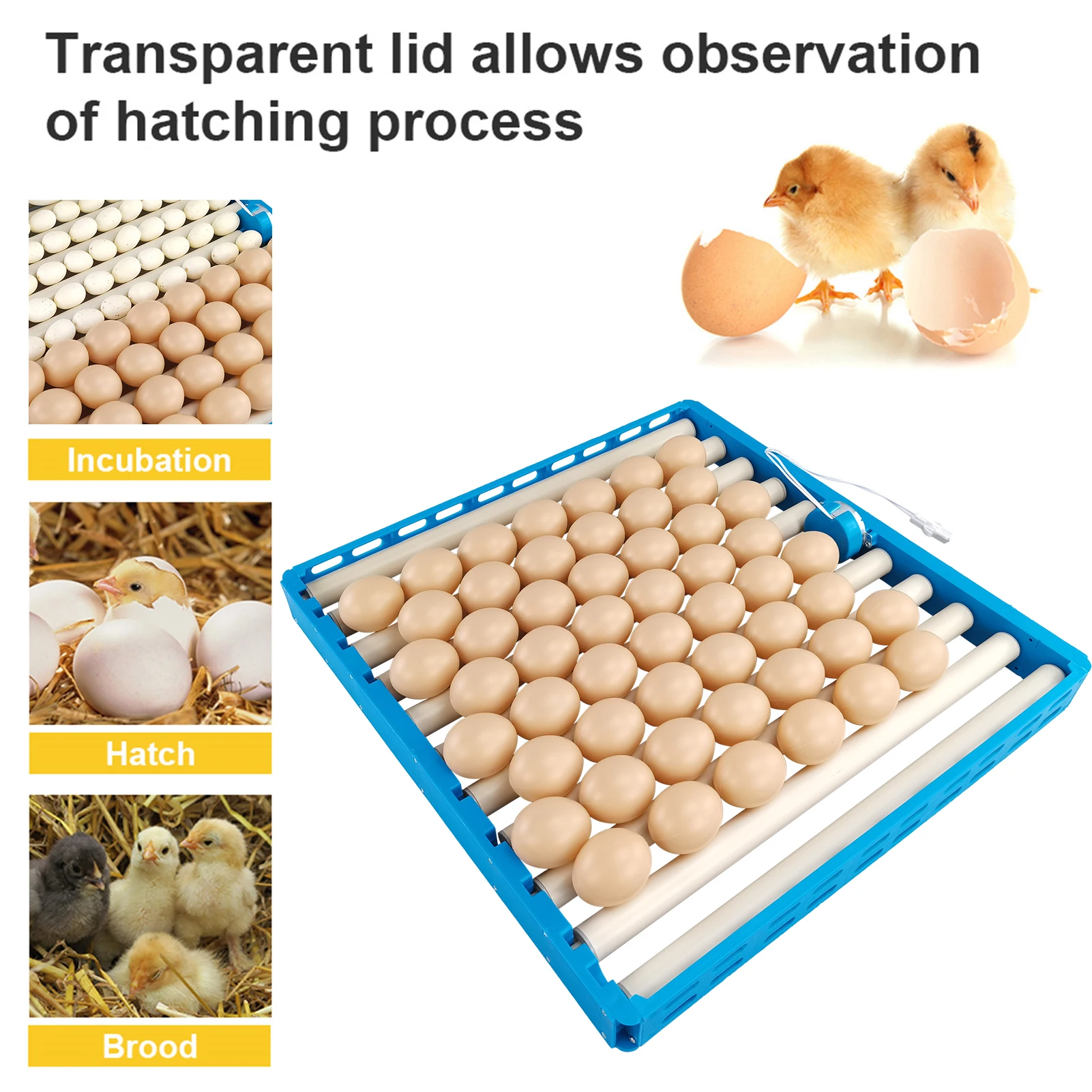 50 Eggs/80 Bird Eggs Automatic Rotary Egg Turner Eggs Incubator Roller Tray For Bird Egg Incubator Egg Hatching Tool 12/110/220v
50 Eggs/80 Bird Eggs Automatic Rotary Egg Turner Eggs Incubator Roller Tray For Bird Egg Incubator Egg Hatching Tool 12/110/220v