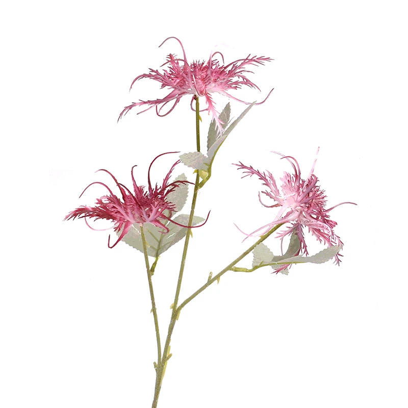 Cheap 3 Heads Eryngium Fake Flower Home Decoration Wedding Christmas Wall Hanging Decor Artificial Fall Dress Up
Cheap 3 Heads Eryngium Fake Flower Home Decoration Wedding Christmas Wall Hanging Decor Artificial Fall Dress Up