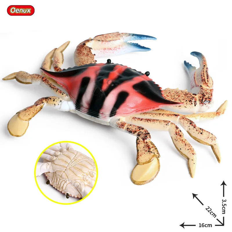 16*22*3.5cm children simulation arthropod toy simulation marine animal model three-point crab portunus crab sea crab decoration
16*22*3.5cm children simulation arthropod toy simulation marine animal model three-point crab portunus crab sea crab decoration