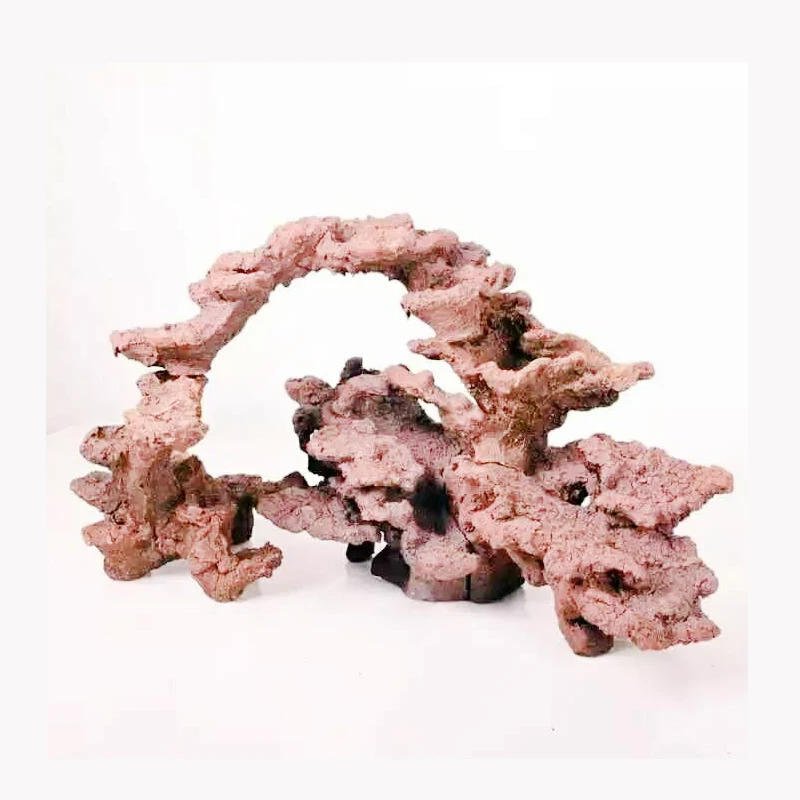 DW Aquarium bio active rock Build marine systems quickly Landscaping Rapid cultivation nitrifying bacto Suitable for 60cm Tank
DW Aquarium bio active rock Build marine systems quickly Landscaping Rapid cultivation nitrifying bacto Suitable for 60cm Tank