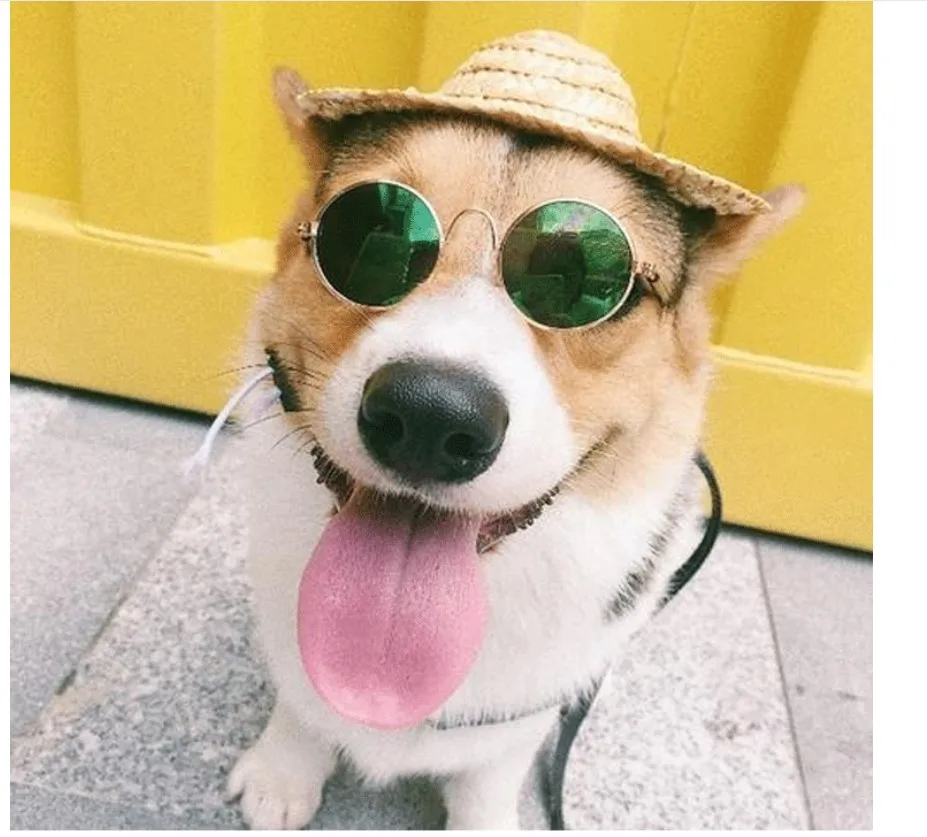 Pet Products Lovely Vintage Round Cat Sunglasses Reflection Eye wear glasses For Small Dog Cat Pet Photos Props Accessories
Pet Products Lovely Vintage Round Cat Sunglasses Reflection Eye wear glasses For Small Dog Cat Pet Photos Props Accessories
