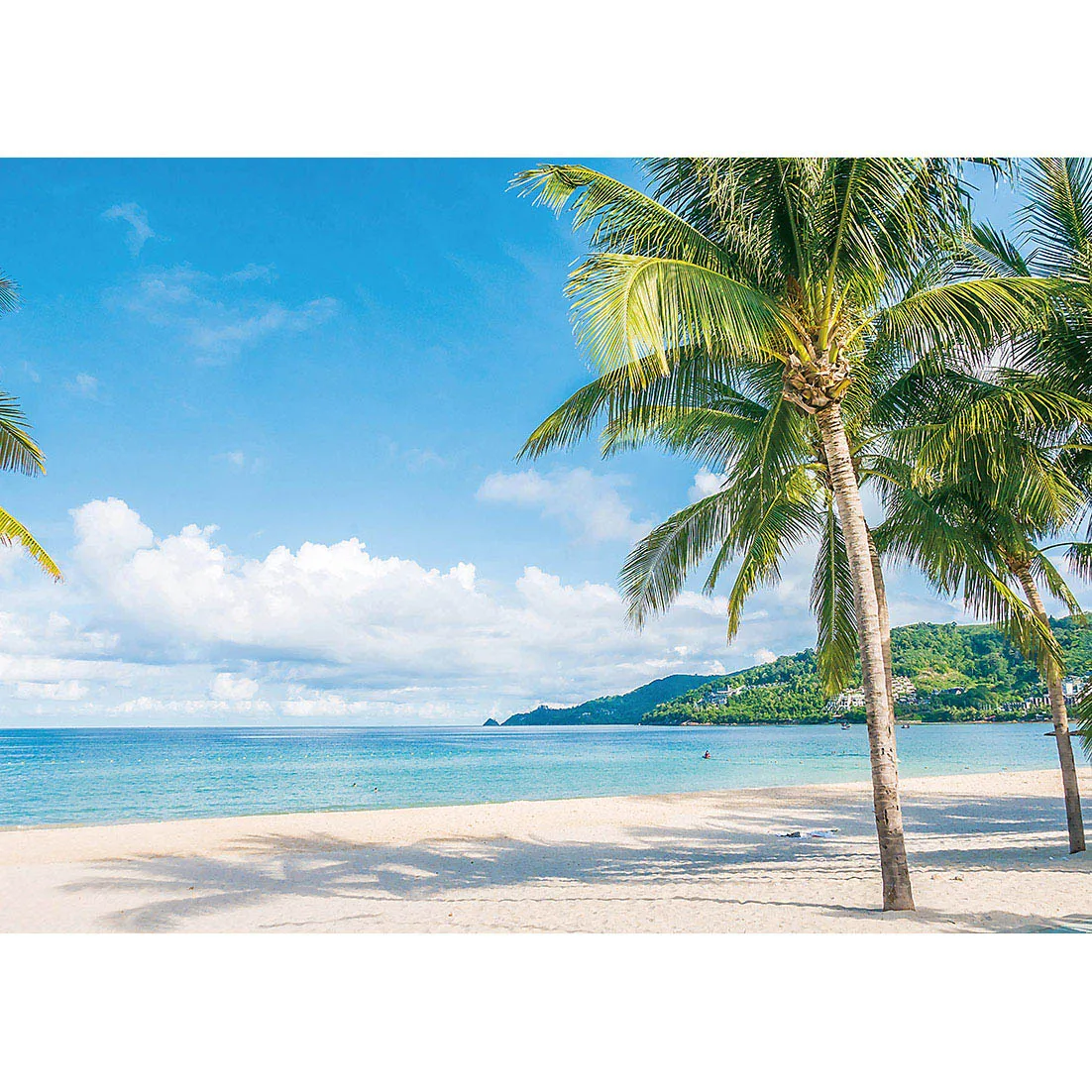 Coconut Trees Sea Beach Photography Background Customized Backdrop Photo Studio for Baby Children Portrait Scenic Photophone
Coconut Trees Sea Beach Photography Background Customized Backdrop Photo Studio for Baby Children Portrait Scenic Photophone