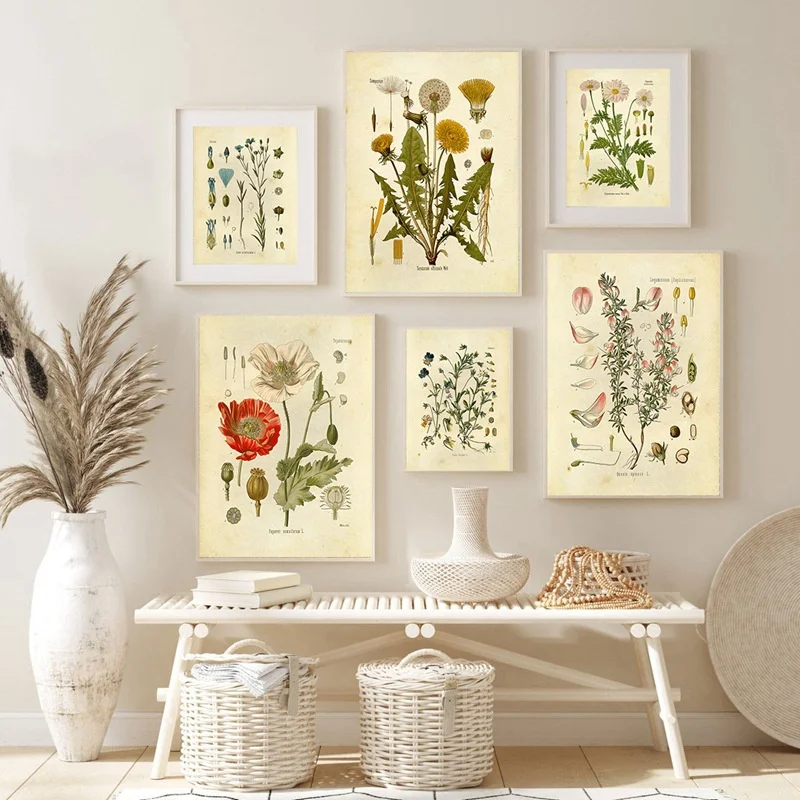 Vintage Botanical Posters and Prints Abstract FlowerS Medicinal Plants Canvas Painting for Living Room Home Decoration
Vintage Botanical Posters and Prints Abstract FlowerS Medicinal Plants Canvas Painting for Living Room Home Decoration