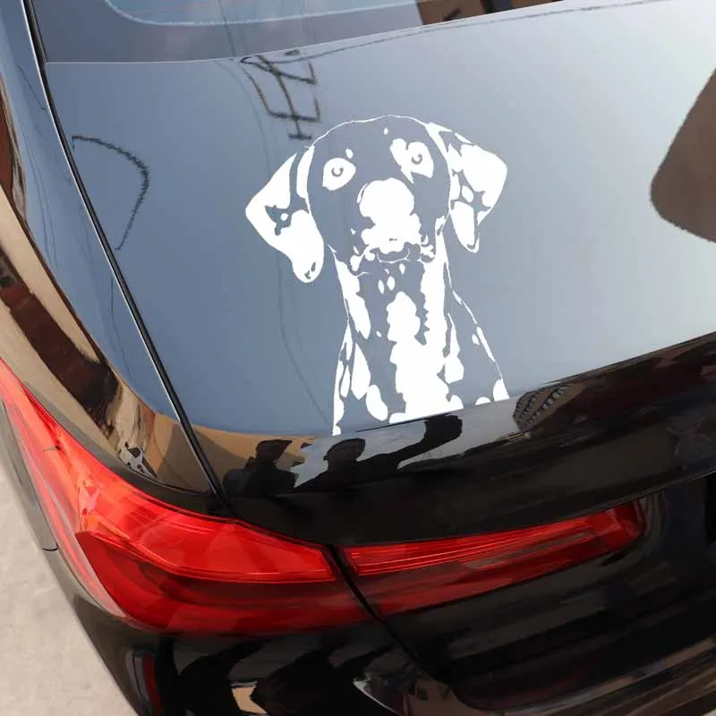 Car Sticker PVC Waterproof Sunscreen Decal Dog Animal Pet Dalmatian Large Decorative Pattern Black/Silver 14.8x16.9cm
Car Sticker PVC Waterproof Sunscreen Decal Dog Animal Pet Dalmatian Large Decorative Pattern Black/Silver 14.8x16.9cm