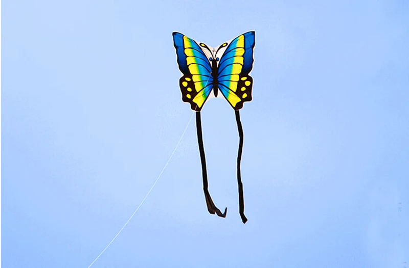 free shipping high quality butterfly kite with handle line children kite flying toys easy control ripstop nylon birds eagle kite
free shipping high quality butterfly kite with handle line children kite flying toys easy control ripstop nylon birds eagle kite