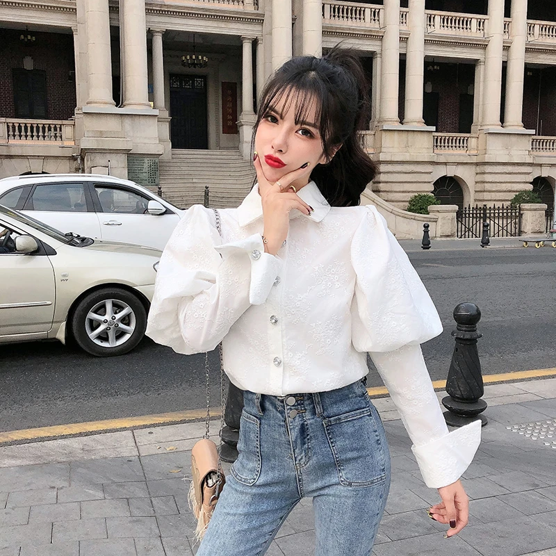 Elegant Women's Blouse Puff Long Sleeve Floral Embroidery Shirt Turn Down Collar Button up Casual Ladies Korean Style Shirts Top
Elegant Women's Blouse Puff Long Sleeve Floral Embroidery Shirt Turn Down Collar Button up Casual Ladies Korean Style Shirts Top