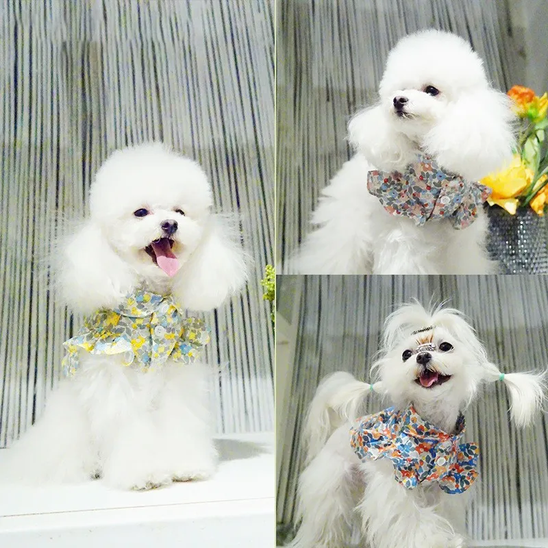 Одежда для собак с цветочным рисунком, хлопковая рубашка для собак, одежда для маленьких собак, брендовая юбка для чихуахуа, померанского ще...
Одежда для собак с цветочным рисунком, хлопковая рубашка для собак, одежда для маленьких собак, брендовая юбка для чихуахуа, померанского ще...