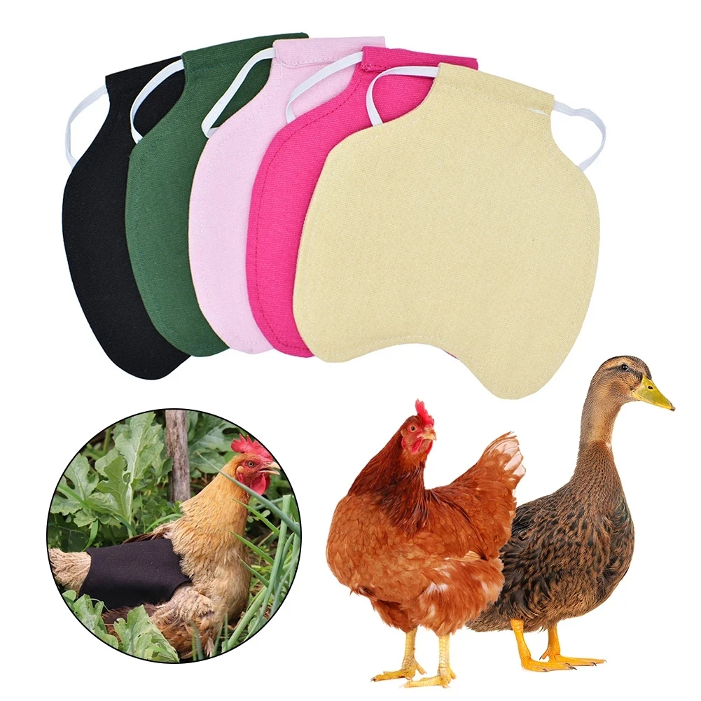 Pet Vest Hen Chicken Saddle Apron Chicken Clothes Feather Back Protector Single Strap Standard Chicken Jacket For Farm Pet 1
Pet Vest Hen Chicken Saddle Apron Chicken Clothes Feather Back Protector Single Strap Standard Chicken Jacket For Farm Pet 1